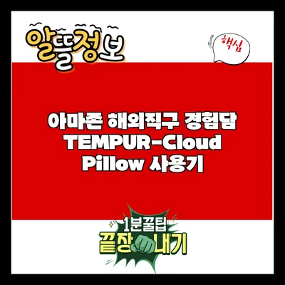 아마존 해외직구 경험담: TEMPUR-Cloud Pillow 사용기