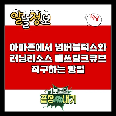 아마존에서 넘버블럭스와 러닝리소스 매쓰링크큐브 직구하는 방법