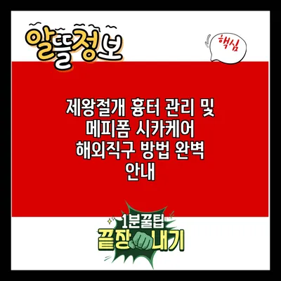 제왕절개 흉터 관리 및 메피폼 시카케어 해외직구 방법 완벽 안내