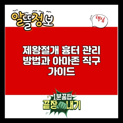 제왕절개 흉터 관리 방법과 아마존 직구 가이드