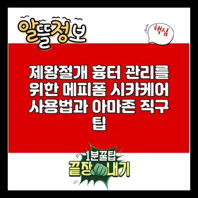 제왕절개 흉터 관리를 위한 메피폼 시카케어 사용법과 아마존 직구 팁