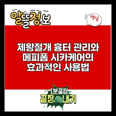 제왕절개 흉터 관리와 메피폼 시카케어의 효과적인 사용법