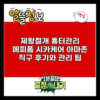 제왕절개 흉터관리: 메피폼 시카케어 아마존 직구 후기와 관리 팁