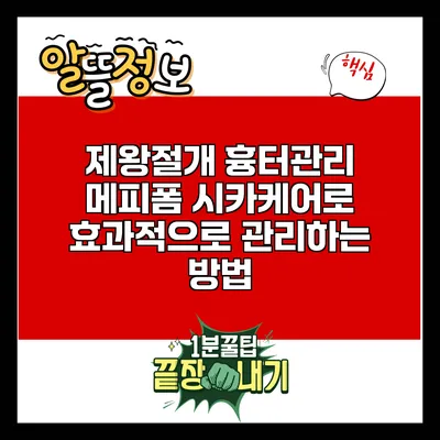 제왕절개 흉터관리: 메피폼 시카케어로 효과적으로 관리하는 방법