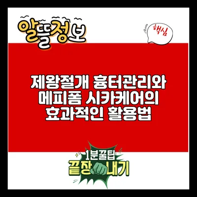 제왕절개 흉터관리와 메피폼 시카케어의 효과적인 활용법